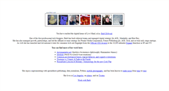 Desktop Screenshot of livemind.net